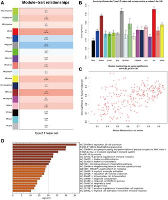 NFE2L3 as a Novel Biomarker Associated With IL-2/STAT5/NLRP3 Signaling Pathway in Malignant Pleural Mesothelioma and Other Cancers